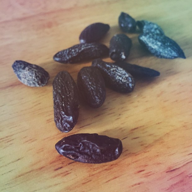 2015-08-13 09.30.15-1